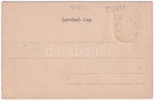 Arad, Szecessziós címeres litho keret / Art Nouveau, litho frame with coat of arms (EK)