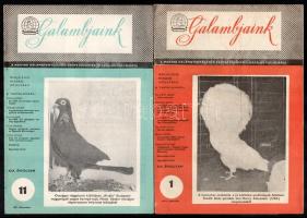 1977-1978 Galambjaink. A Magyar Galambtenyésztők Szövetsége hivatalos folyóiratának 6 száma, kopott ...