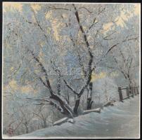 Tóth Gyula (1891-1970): 2 db téli táj. Fotó, egyik színezett, jelzett és datált (Tóth 934), 24x24 cm