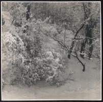 Tóth Gyula (1891-1970): 2 db téli táj. Fotó, egyik színezett, jelzett és datált (Tóth 934), 24x24 cm