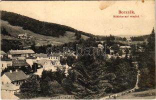 1908 Borszék, Borsec; Bükkhavasi részlet. Soós kiadása (fl)