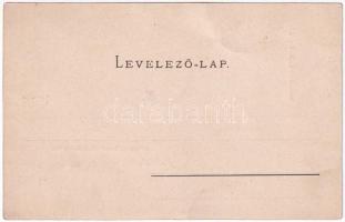 Nagyszalonta, Salonta; Kornstein testvérek sertéstenyésztő farmja Pata-Pusztán, mangalica disznók. S...