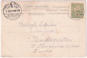 1904 Erdőd, Erdut; Rusevina u Erdutu / Ruine in Erdőd / várromok. Selzer i Rank Art Nouveau, floral,...