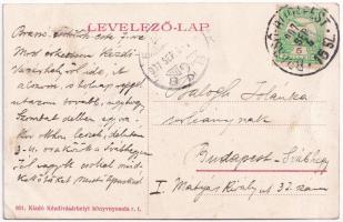 1907 Kézdivásárhely, Targu Secuiesc; Fő tér, piac, Rezer Gyula üzlete / main square, market, shops (...