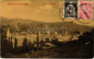 1928 Abrudbánya, Abrud; látkép templomokkal. W.L. 3229. / churches. TCV card (EK)