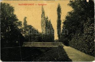 1910 Buziásfürdő, Baile Buzias; gyógykert. W.L. Bp. N. 2043. / spa garden (fa)