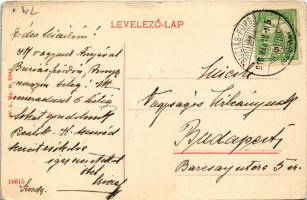 1910 Buziásfürdő, Baile Buzias; gyógykert. W.L. Bp. N. 2043. / spa garden (fa)