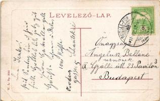 1911 Buziásfürdő, Baile Buzias; gyógykert. W.L. Bp. 2044. / spa garden (EK)