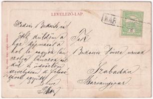 Karánsebes, Caransebes; Fő utca, Reisz B. üzlete. W.L. Bp. 6762. 1910-13 9611. / Strada principala /...