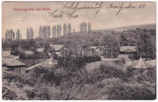 1916 Székelyudvarhely, Odorheiu Secuiesc; Solymosy-féle sós-fürdő, nyaralók. Erdélyi Simon kiadása / salt bath, spa, villas