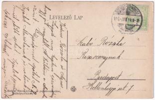 1916 Székelyudvarhely, Odorheiu Secuiesc; Solymosy-féle sós-fürdő, nyaralók. Erdélyi Simon kiadása /...