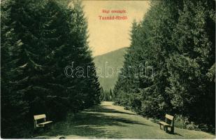 Tusnád-fürdő, Baile Tusnad; Régi országút. Brunner Lajos kiadása / old road