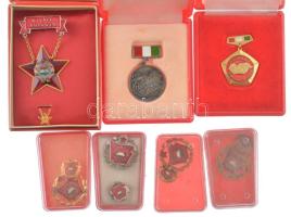 7db vegyes magyar szocialista jelvény tokban, közte "Kiváló Társadalmi Munkás", "Kiváló Dolgozó" műgyantás kitüntetés igazolvánnyal T:1--2