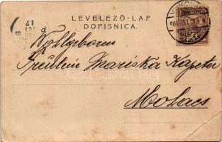 1901 Vukovar, Volksfest im gräfl. Eltz'schen Schlossparke, arrangirt von der Filiale des Rothen...