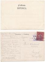 Postojnska jama, Adelsberger Grotte, Postojna Cave; 8 mostly pre-1900 postcards (2 embossed)
