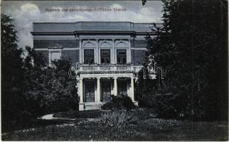 Nagyszeben, Hermannstadt, Sibiu; Museum des naturwissenschaftlichen Vereins / Tudományos Egylet múzeuma. Nr. 14. Karl Engber / museum of the scientific association (EK)