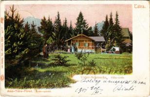 1901 Alsótátrafüred, Tátrafüred, Unter-Schmecks, Dolny Smokovec (Magas-Tátra, Vysoké Tatry); Gréb nyaraló. Feitzinger Ede 47 a bt. / villa (EK)