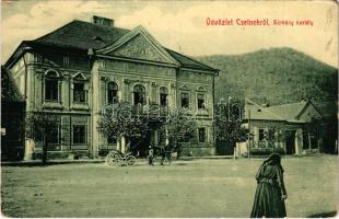 1910 Csetnek, Stítnik; Sárkány kastély. W.L. Bp. 5996. / castle