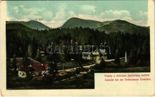 1911 Dobsina, Dobschau; Jégbarlang mellett. Fejér Endre nagyvendéglős kiadása / Eishöhle