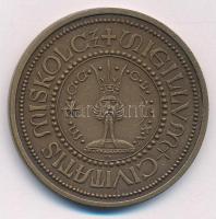 Tóth Sándor (1933-) MISKOLCZ SIGILLUM CIVITATIS kétoldalas bronz emlékérem, hátoldalon a diósgyőri vár (42,5mm) T:1-