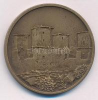 Tóth Sándor (1933-) "MISKOLCZ SIGILLUM CIVITATIS" kétoldalas bronz emlékérem, hátoldalon a...