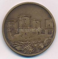 Tóth Sándor (1933-) "MISKOLCZ SIGILLUM CIVITATIS" kétoldalas bronz emlékérem, hátoldalon a...