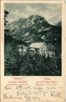 1902 Tátra, Vysoké Tatry; Középorom, Zerge szálló. Divald Károly 327. / Mittelgrad, Hotel Gemse (EK)