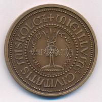 Tóth Sándor (1933-) "MISKOLCZ SIGILLUM CIVITATIS" kétoldalas bronz emlékérem, hátoldalon a...