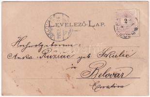 1899 (Vorläufer) Borossebes, Boros-Sebes, Sebis; Piac, Steiner Samu üzlete. Honisch udvari fényképés...