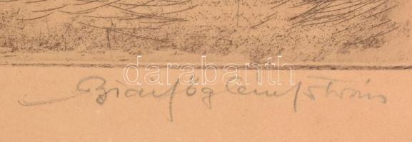 Biai-Föglein István (1905-1974): Virágok. Színezett rézkarc, papír, jelzett, lap széle kissé foltos,...