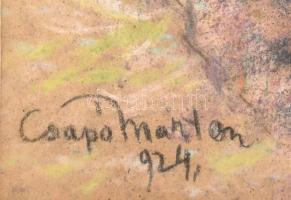 Csapó Márton (1889-?): Napfényes táj, 1924. Pasztell, papír, jelzett. 43x29 cm. Üvegezett fakeretben