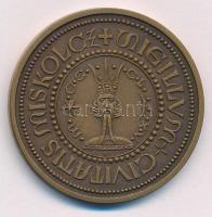 Tóth Sándor (1933-) MISKOLCZ SIGILLUM CIVITATIS kétoldalas bronz emlékérem, hátoldalon a lillafüredi kastélyszálló (42,5mm) T:1-