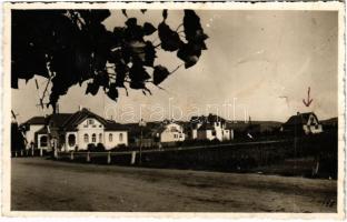 Székelyudvarhely, Odorheiu Secuiesc; házak / houses. Kováts István photo (b)