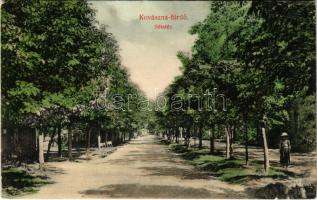 1910 Kovászna-fürdő, Baile Covasna; Sétatér / promenade (EK)
