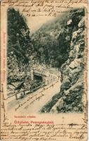 1900 Petrozsény, Petrosani; Szurduki részlet. Joánovits és Sternád kiadása / Pasul Surduc / Surduc gorge, mountain pass (EB)