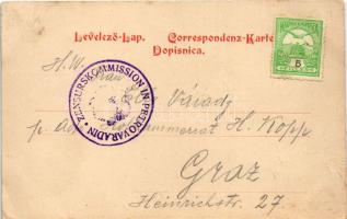 1914 Szerémszolnok, Szolnokpuszta, Puszta-Szolnok, Zarkovac (Ruma); gőzmalom, malom / Bachmühle, Dam...
