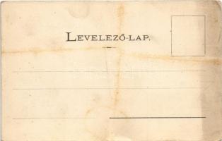 Torda, Turda; Vármegyeháza / county hall (fl)