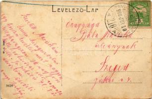 1908 Oravicabánya, Oravica, Oravicza, Oravita; kilátás a lövöldekertből. W.L. Bp. 1203. / general vi...