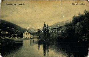 1908 Oravicabánya, Oravica, Oravicza, Oravita; Kis tó részlet. W.L. Bp. 1208. / lake (r)