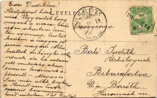 1910 Oravicabánya, Oravica, Oravicza, Oravita; látkép (W.L. ?) / general view (EB)