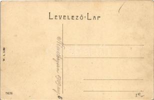 1909 Boksánbánya, Németbogsán, Deutsch-Bogsan, Bocsa Montana; Berzova vize. W.L. 1136. / Barzava riv...