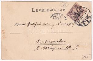 1901 Arad, Megyeháza. Kerpel Izsó kiadása / county hall. Art Nouveau, floral (EK)