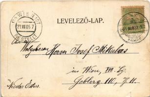 1905 Dicsőszentmárton, Tarnaveni, Diciosanmartin; Nemzeti szálloda, kávéház és étterem. Erzsébet nyo...