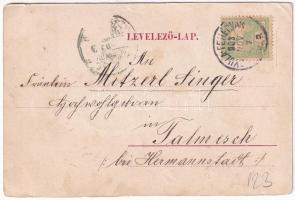 1903 Gyulafehérvár, Karlsburg, Alba Iulia; Római katolikus főgimnázium, Batthyány könyvtár, Tiszti p...