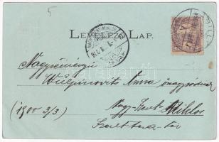 1900 Lippa, Lipova; Fő utca, üzletek. Konstantin Sándor kiadása / main street, shops