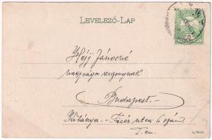 1911 Lippa, Lipova; Fő utca, üzletek. Zeitler Lajos kiadása / main street, shops (EB)