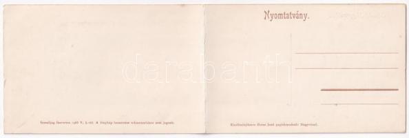 Nagyvárad, Oradea; látkép zsinagógával. Boros Jenő kiadása. 2-részes kihajtható panorámalap / 2-tile...