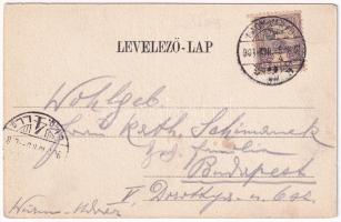 1901 Nagyvárad, Oradea; Royal kávéház, belső. Sonnenfeld Adolf kiadása / café, interior (EK)