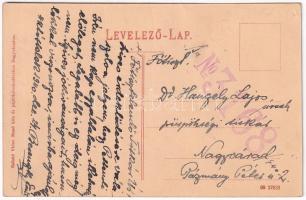 Nagyvárad, Oradea; Bémer tér, Mocsári Lajos, Ifj. Stern Sándor, Lévay István, Molnár üzlete, Duna Bi...