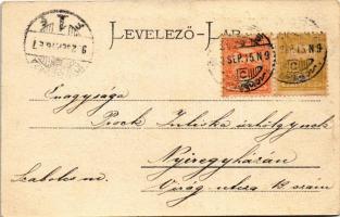 1902 Lugos, Lugoj; Széchenyi utca, Népbank palota, Strasser kávéház. Auspitz Adolf kiadása / street ...